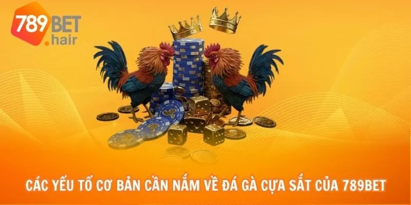 Các yếu tố cơ bản cần nắm về đá gà cựa sắt của 789bet