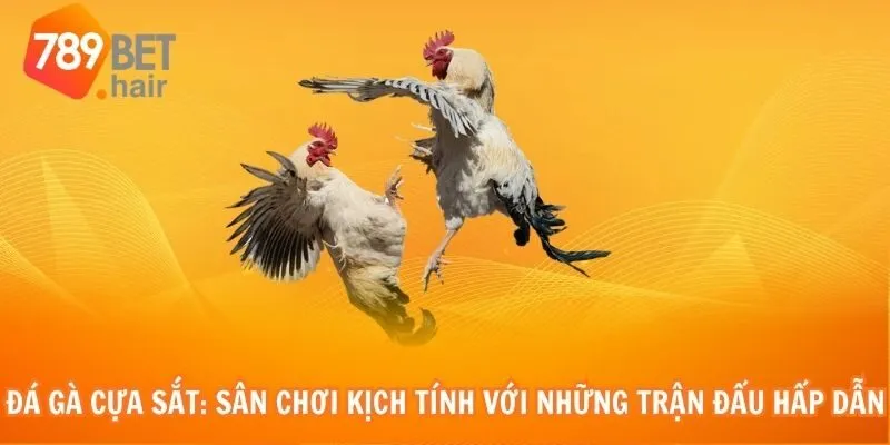 Đá gà cựa sắt