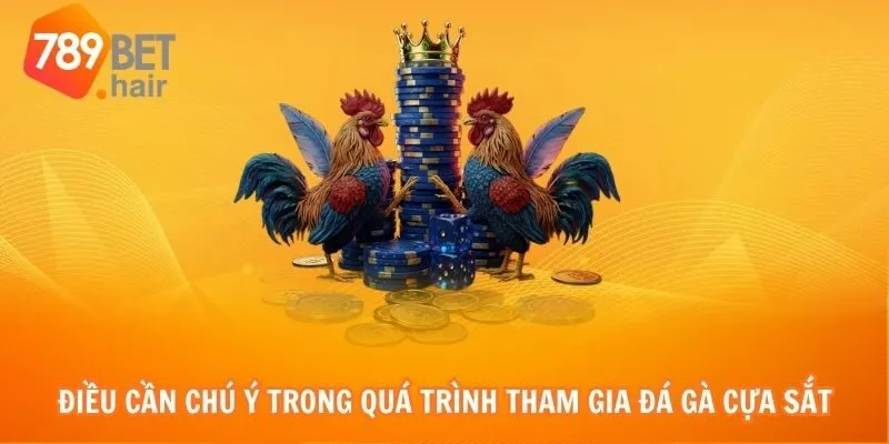Điều cần chú ý trong quá trình tham gia đá gà cựa sắt tại 789bet