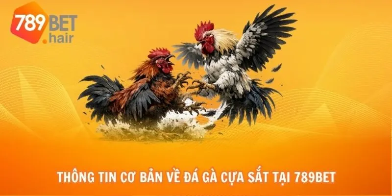 Thông tin cơ bản về đá gà cựa sắt tại 789bet